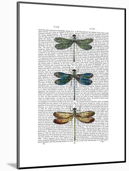 Dragonflies Print 1-Fab Funky-Mounted Art Print