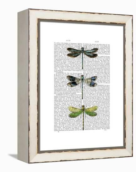 Dragonflies Print 2-Fab Funky-Framed Stretched Canvas
