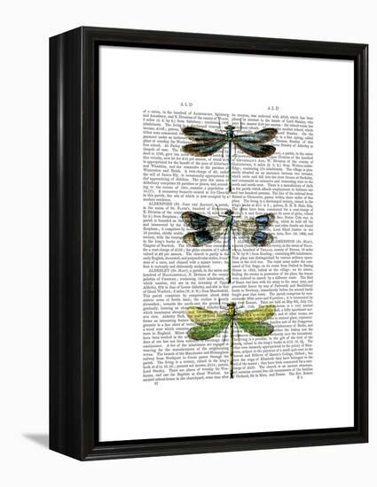 Dragonflies Print 2-Fab Funky-Framed Stretched Canvas