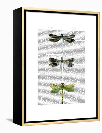 Dragonflies Print 2-Fab Funky-Framed Stretched Canvas