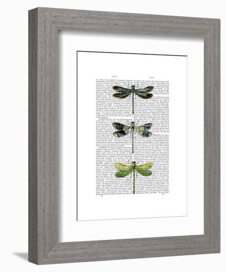 Dragonflies Print 2-Fab Funky-Framed Art Print