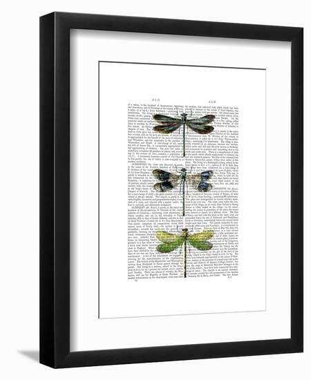 Dragonflies Print 2-Fab Funky-Framed Art Print