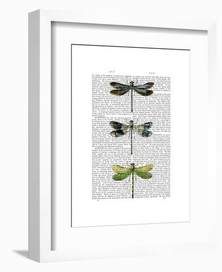 Dragonflies Print 2-Fab Funky-Framed Art Print