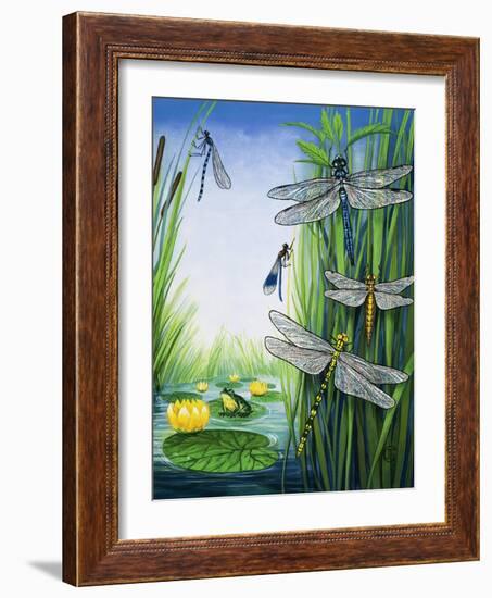 Dragonflies-null-Framed Giclee Print