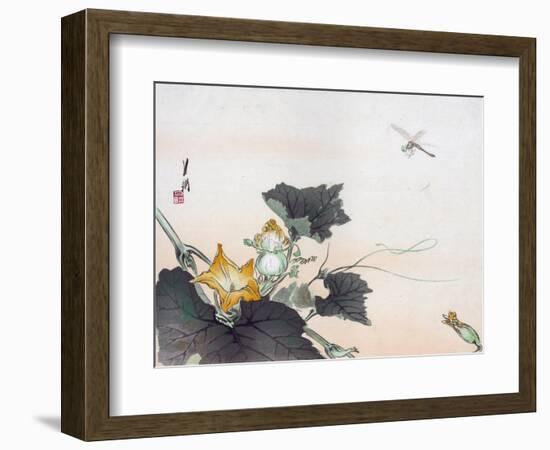 Dragonfly and a Pumpkin Blossom-Ogata Gekko-Framed Giclee Print