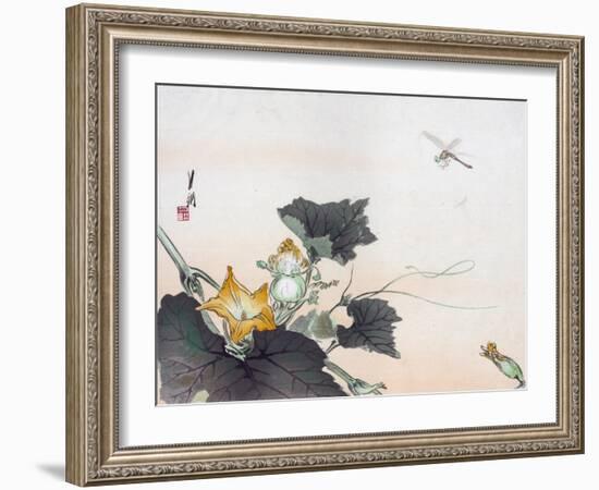 Dragonfly and a Pumpkin Blossom-Ogata Gekko-Framed Giclee Print