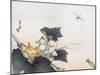 Dragonfly and a Pumpkin Blossom-Ogata Gekko-Mounted Giclee Print