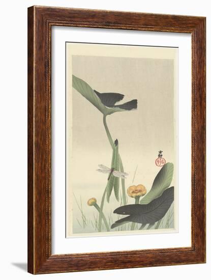 Dragonfly and Lotus Flower, C.1900-30 (Colour Woodcut)-Ohara Koson-Framed Giclee Print