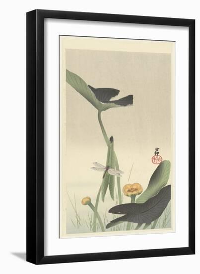 Dragonfly and Lotus Flower, C.1900-30 (Colour Woodcut)-Ohara Koson-Framed Giclee Print