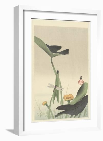 Dragonfly and Lotus Flower, C.1900-30 (Colour Woodcut)-Ohara Koson-Framed Giclee Print