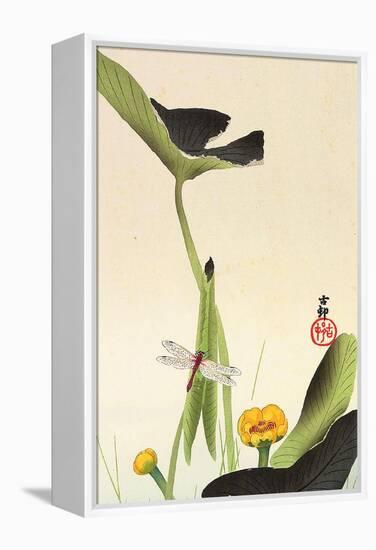 Dragonfly and Lotus-Koson Ohara-Framed Premier Image Canvas