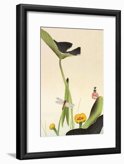 Dragonfly and Lotus-Koson Ohara-Framed Giclee Print