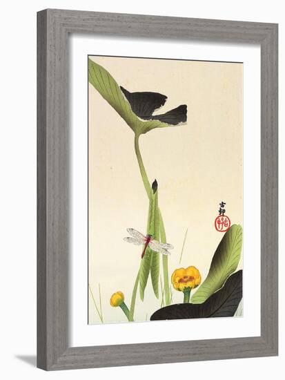 Dragonfly and Lotus-Koson Ohara-Framed Giclee Print