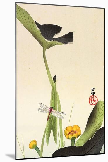 Dragonfly and Lotus-Koson Ohara-Mounted Giclee Print