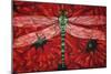 Dragonfly And Poppies-Holly Carr-Mounted Giclee Print