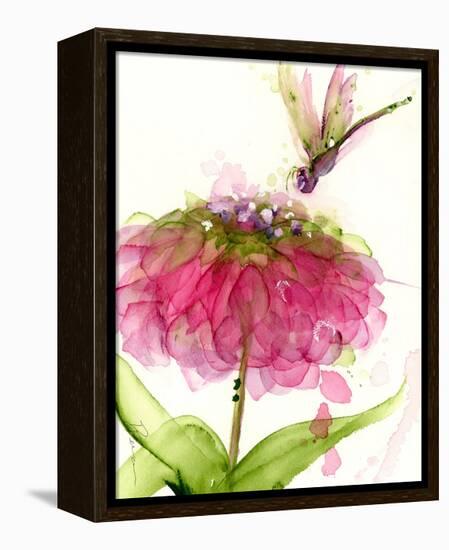 Dragonfly and Zinnia-Dawn Derman-Framed Stretched Canvas