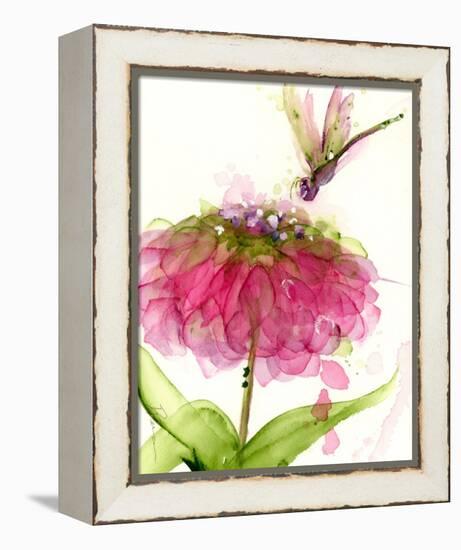 Dragonfly and Zinnia-Dawn Derman-Framed Stretched Canvas