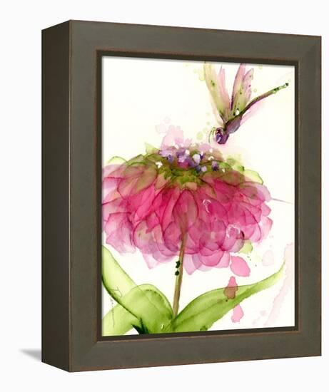 Dragonfly and Zinnia-Dawn Derman-Framed Stretched Canvas