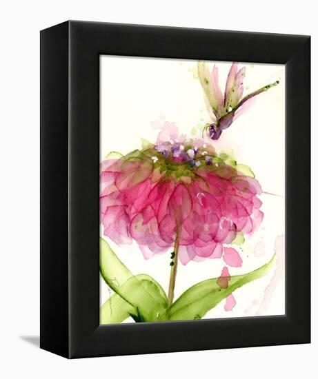 Dragonfly and Zinnia-Dawn Derman-Framed Stretched Canvas