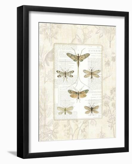 Dragonfly Botanical-Sue Schlabach-Framed Art Print