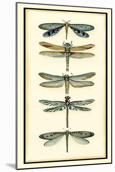 Dragonfly Collector I-Chariklia Zarris-Mounted Art Print