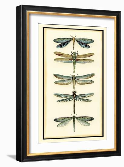 Dragonfly Collector I-Chariklia Zarris-Framed Art Print