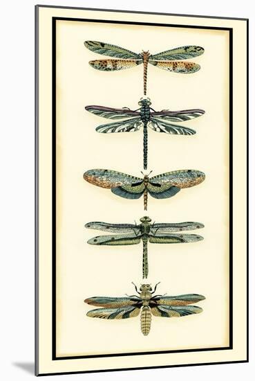 Dragonfly Collector II-Chariklia Zarris-Mounted Art Print