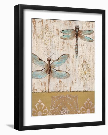 Dragonfly Evolution-Studio 5-Framed Art Print