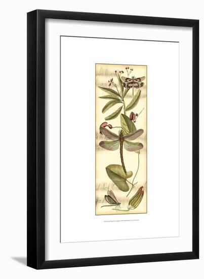 Dragonfly Gathering II-Vision Studio-Framed Art Print