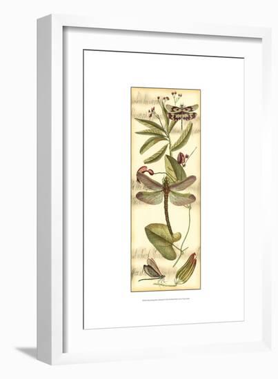 Dragonfly Gathering II-Vision Studio-Framed Art Print