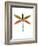 Dragonfly Goes Mod Three-Jan Weiss-Framed Art Print