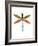 Dragonfly Goes Mod Three-Jan Weiss-Framed Art Print