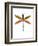 Dragonfly Goes Mod Three-Jan Weiss-Framed Art Print