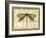 Dragonfly Harmony II-Vision Studio-Framed Art Print