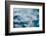 Dragonfly Hovering over Blue Water-James White-Framed Photographic Print