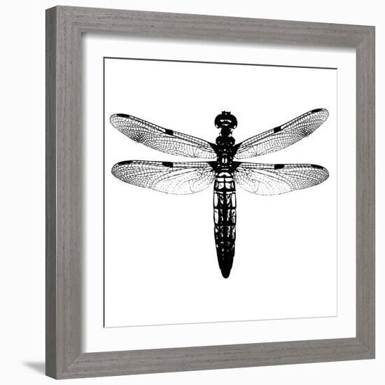 Dragonfly I-Clara Wells-Framed Giclee Print