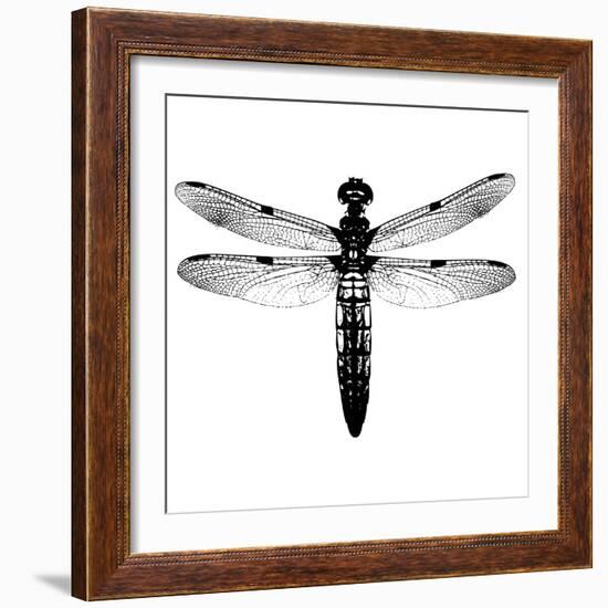 Dragonfly I-Clara Wells-Framed Giclee Print