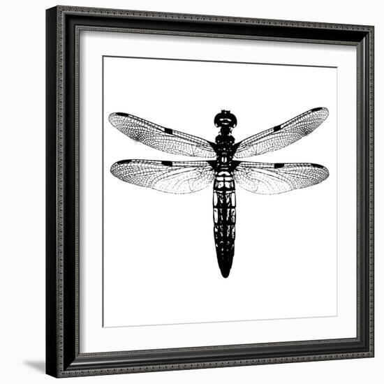 Dragonfly I-Clara Wells-Framed Giclee Print