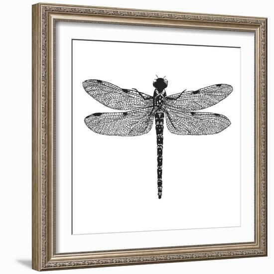 Dragonfly II-Clara Wells-Framed Giclee Print