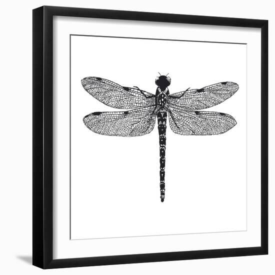 Dragonfly II-Clara Wells-Framed Giclee Print