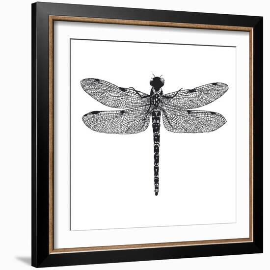 Dragonfly II-Clara Wells-Framed Giclee Print