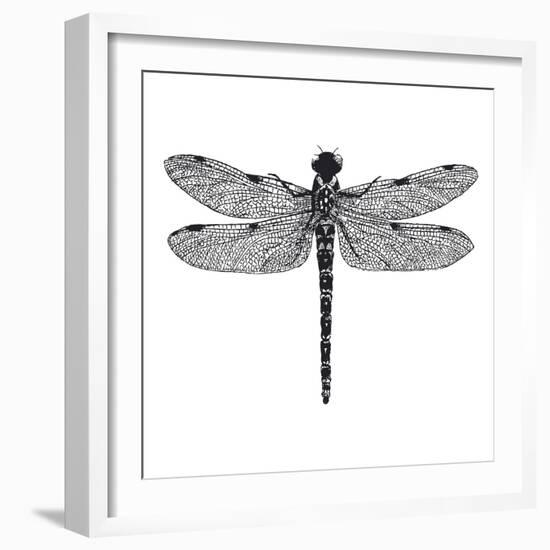 Dragonfly II-Clara Wells-Framed Giclee Print