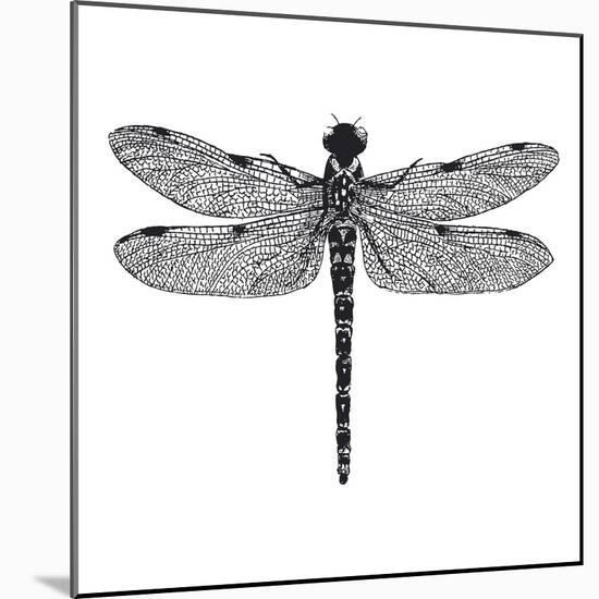 Dragonfly II-Clara Wells-Mounted Giclee Print