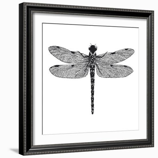 Dragonfly II-Clara Wells-Framed Giclee Print