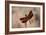 Dragonfly II-Erin Berzel-Framed Photographic Print