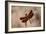 Dragonfly II-Erin Berzel-Framed Photographic Print