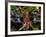 Dragonfly in Ankarana Reserve, Madagascar-Pete Oxford-Framed Photographic Print