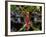 Dragonfly in Ankarana Reserve, Madagascar-Pete Oxford-Framed Photographic Print