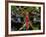 Dragonfly in Ankarana Reserve, Madagascar-Pete Oxford-Framed Photographic Print