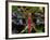 Dragonfly in Ankarana Reserve, Madagascar-Pete Oxford-Framed Photographic Print